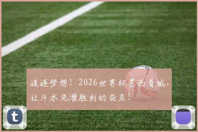 追逐梦想！2026世界杯墨西哥城，让汗水浇灌胜利的花朵！