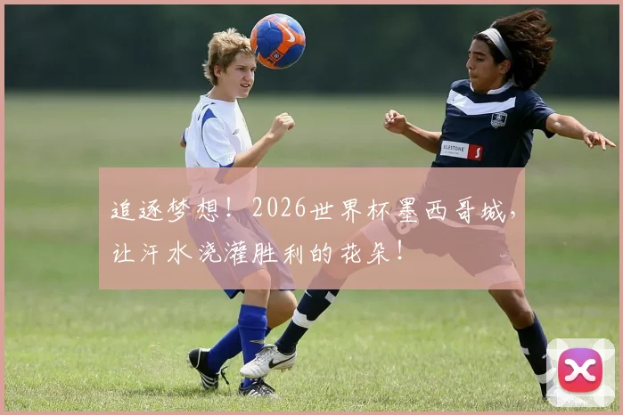 追逐梦想！2026世界杯墨西哥城，让汗水浇灌胜利的花朵！